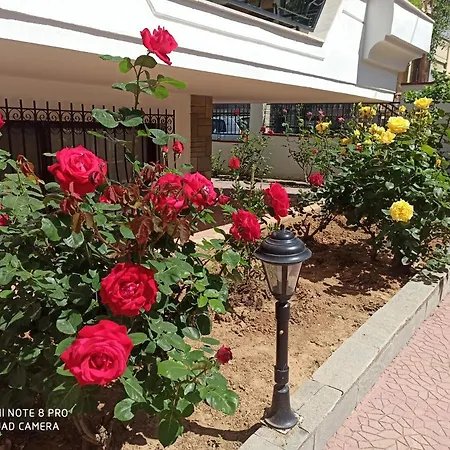Olga's Olympus And Garden View Apartment Nea Michaniona