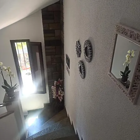 Olga's Olympus And Garden View نيا ميشانيونا